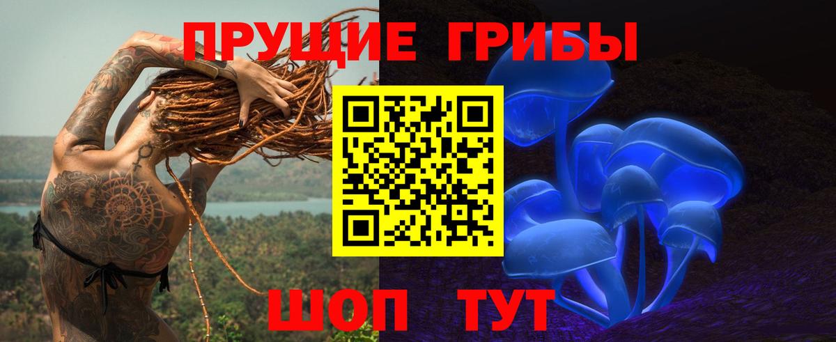 Псилоцибиновые грибы MAGIC MUSHROOMS  купить наркоту  Темрюк  Вход с VPN 